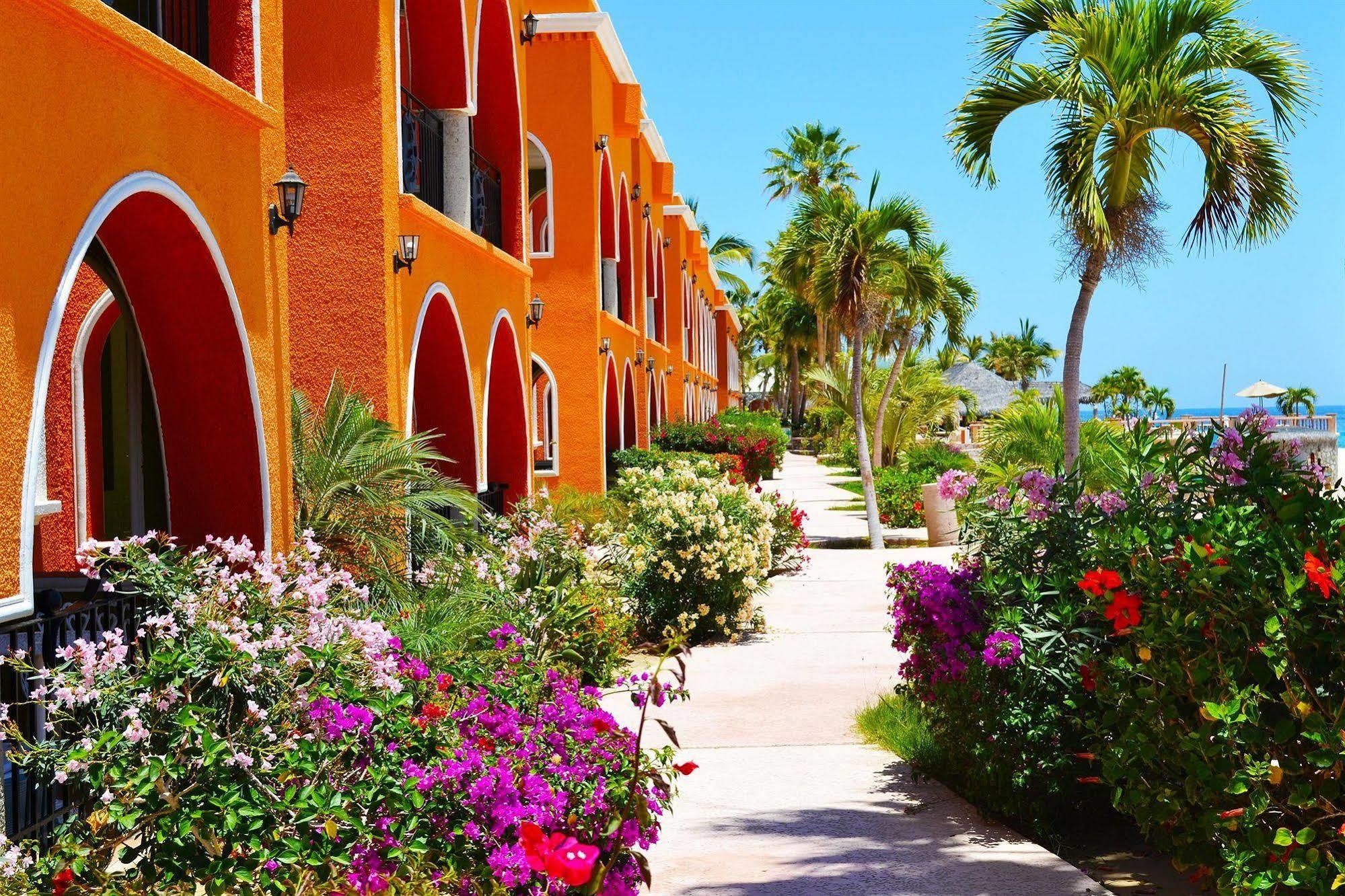 Hotel Palmas De Cortez Los Barriles Eksteriør billede